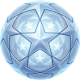Champions League boll