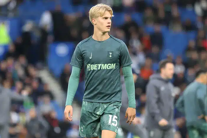 Lucas Bergvall Tottenham